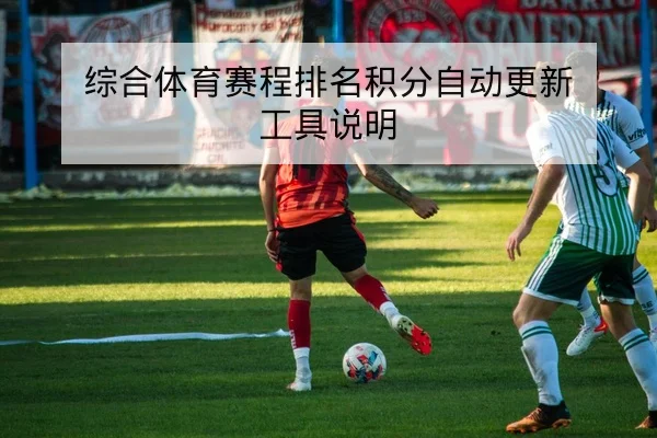综合体育赛程排名积分自动更新工具说明