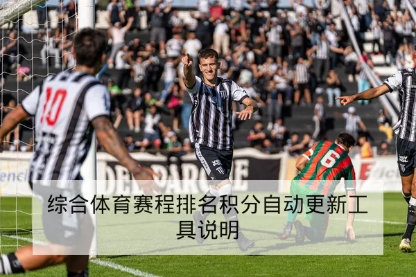 综合体育赛程排名积分自动更新工具说明